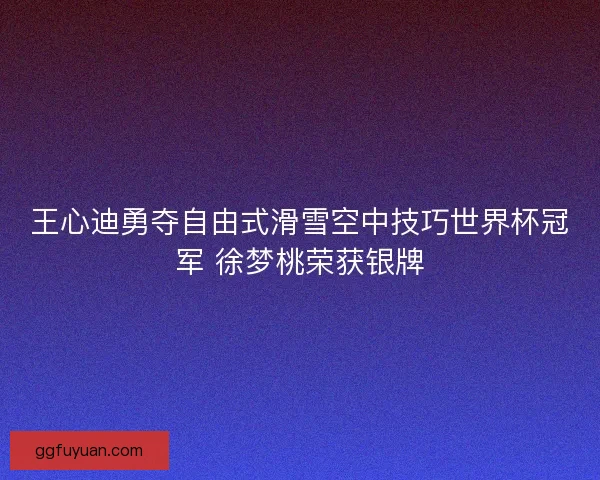王心迪勇夺自由式滑雪空中技巧世界杯冠军 徐梦桃荣获银牌 王心迪勇夺自由式滑雪空中技巧世界杯冠军 徐梦桃荣获银牌