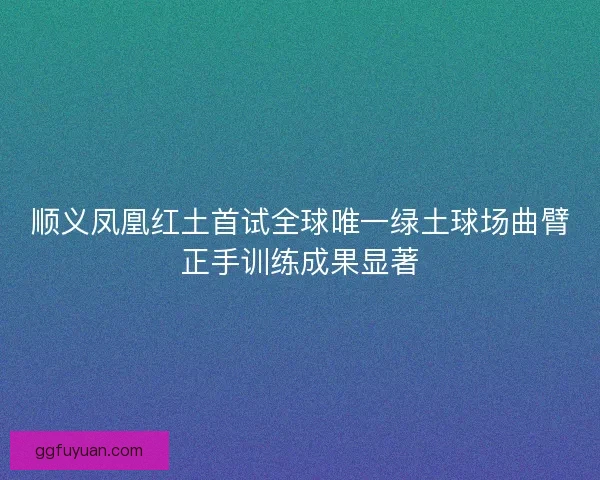 顺义凤凰红土首试全球唯一绿土球场曲臂正手训练成果显著
