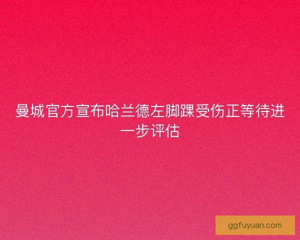 曼城官方宣布哈兰德左脚踝受伤正等待进一步评估 曼城官方宣布哈兰德左脚踝受伤正等待进一步评估